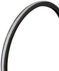 Schwalbe