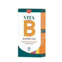 Erba Vita Integratore Alimentare B Apport Plus Blister - 40 Capsule