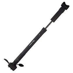 Fischer Pompa per Bicicletta Doppia, Fissaggio al Telaio, Nera, 85576