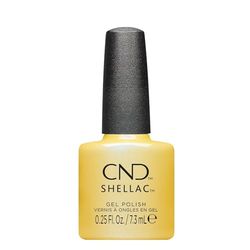 Shellac Char-Truth 466