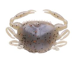 Berkley Gulp! Saltwater Peeler Crab; esca morbida per predatori d'acqua salata; imitazione realistica del granchio con dispersione del profumo per scorfani, passere e pesci rossi, 5 cm, Molting
