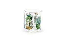 Excelsa KTN 3 BICC. CACTUS CL.25