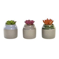 DKD Home Decor Decorative Plant, Standard