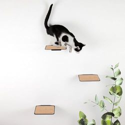 LucyBalu® Kattentrap Set van 3 | Klimwand Kat | Kattenladder | Muurplank Kat | Katten Klimmuur | Kattentrap Binnen | Muurplanken Kat | Kattenwand | Katten Wandplank | Antraciet