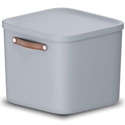 Rotho Maloja Boîte de rangement 40 l, Plastique (PP recyclé), 40 (39.5 x 38.0 x 34.0 cm)