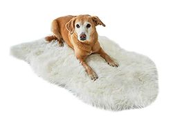 Pets Club Djurunderlägg sovplats tvättbar vadderad hund katt säng matta filt kudde 2 storlekar (vit, 50 x 80 cm)