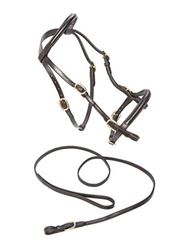 Caldene In-Hand Bridle - Havana, Small Pony