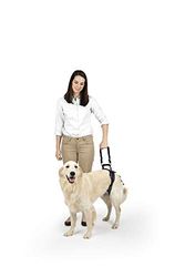 Solvit CareLift baktill hund lyftsele