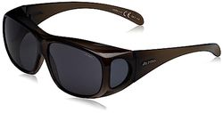 ALPINA Overview-preto transparente, preto S3