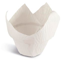 Guardini, Set di 12 Pirottini lotus Ø 5 cm, Monouso, Carta da forno antiaderente, 100% compostabile, Made in Italy, Linea Easy Bake Bio
