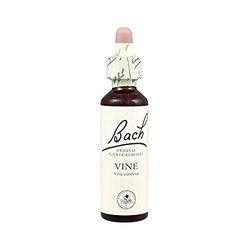 Bach - Blommigt botemedel, vin smak, 20 ml