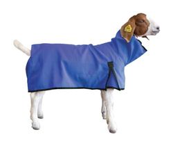 Weaver - Coperta unisex in pelle di capra, grande, blu, L