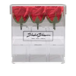 Blush & Blossom C09P Fiori, Passione