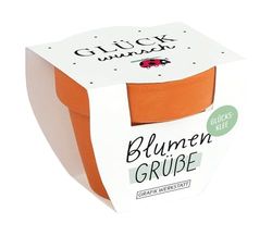 Grafisk verkstad blomsterhälsningar sommarblommor-mix | Mini terrakotta-krukor med frön | gratulationer