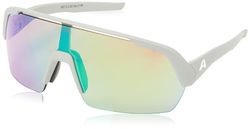 ALPINA Unisex Turbo HR zonnebril, grijs (Smoke-Grey (mat zwart), eenheidsmaat