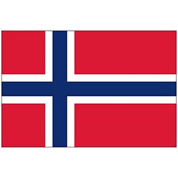 SHATCHI Ballon Drapeau de supporters de football norvégien de qualité supérieure avec œillets 150 cm x 90 cm, National Flag, Norvège