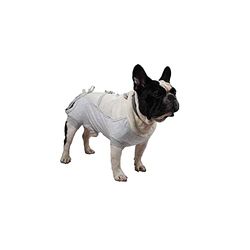 Grande Finale T-Shirt Postoperatoire hond, Gr. S, grijs