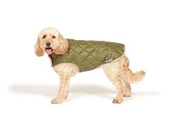 Danish Design Forest Green Gewatteerde Hondenjas 40cm (16")