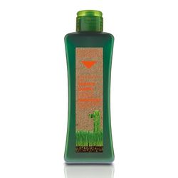 Salerm Cosmetics Biokera Natura Shampoo Treated Hair – 300 ml