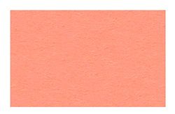 Ursus 2174642 - tekenpapier koraal, DIN A4, 130 g/m², 100 vellen, gekleurd, hoge kleurglans en lichtbestendigheid, van vers cellulose, ideale basis voor talrijke knutselwerk