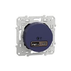 Schneider Electric S550219 Odace - Conector USB doble (carga rápida, tipo A+C, 18 W, 3,4A)