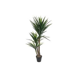 DKD Home Decor Decoratieve plant van polypropyleen (PP) EVA (80 x 80 x 150 cm)