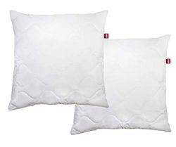 Abeil voluptuosas Blanco Juego de 2 Almohadas mullidas Acolchadas, Color, 60 x 60 cm, Microfibra, 2 Unité (Lot de 1), 2