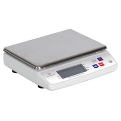 Louis Tellier - Bilancia Elettronica Professionale - 10 kg - IP53 - Precisione 1 g - Piatto Estraibile - 22 x 16,5 cm