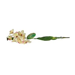Lucky Reptile IF-06 Steck-Orchidee Circa 40 cm, L, Weiß