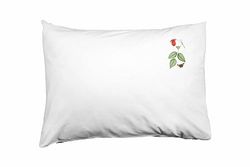 Bona Basics, Taie d'oreiller décorative Décoration de la Maison pour canapé, cafétéria, Taille: 50x35 cm, Couleur: Blanc