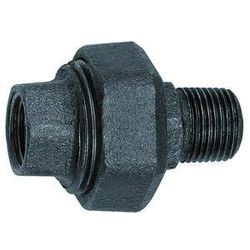 RIEGLER 133819-TFV331-112-DS raccordo a vite 331, piatto, R 1 1/2, Rp 1 1/2, nero, 1 pezzo