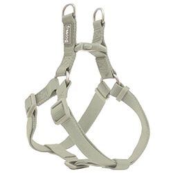 Arnés Nylon Basic Tipo A Verde Salvia 25mmx70-90cm