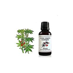 LABIATAE Olio di RICINO BIO 30 ML