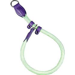 Arppe 11060 Collar Educativo Nylon Redondo con Protección, L, Verde y Morado