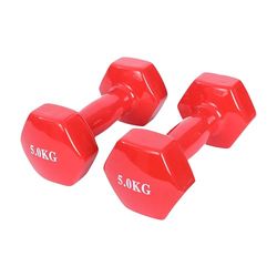 Endless Vinyl gecoate vaste dumbbell voor gymoefeningen | Paar van 5 kg (2 x 11 lb) | Materiaal: ijzer met vinyl jas | Gewichten voor Vrouwen en Mannen