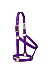 Weaver Leather 35-7404-TU Basic - Halter no Regulable (1 Pulgada), Color Turquesa, 35-7404-PU, Morado, S Horse