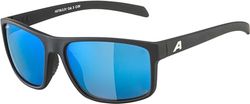 Alpina Unisex Nacan I P zonnebril, zwart mat, one size