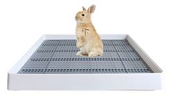 PODOO Grand bac à litière pour Lapin, Cochon d'Inde avec Plateau de Toilette, idéal pour Rats, Hamsters, furets, Lapins, Animaux de Petite et Moyenne Taille, 55,9 x 45,7 x 7,6 cm (Grand)