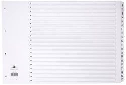 Concord Classic Index Mylar-reinforced Punched 4 Holes 1-20 A3 White Ref 04801/CS48