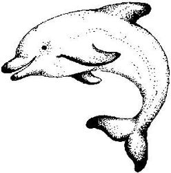 Art Stamps - Sello, diseño de delfín
