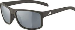 ALPINA Unisex - Volwassenen, NACAN I Zonnebril, coffee-grey/black, One Size