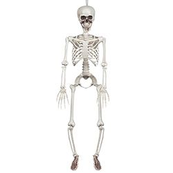 Boland 73042 - hangend skelet, grootte 90 cm, beweegbare armen en benen, decoratie, hangende decoratie, hangers, Halloween, carnaval, themafeest
