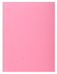 Exacompta - Ref 348003E - Super 210 1-Flap Folders - 240 x 320mm in Size, Suitable for Holding A4 Documents, 160gsm Card, Single Fold Over Flap - Pink (Pack of 100)