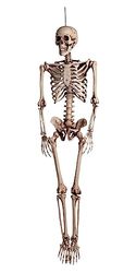 Skeleton Decoration (160 cm)