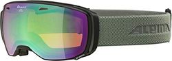 ALPINA Unisex - Vuxna, ESTETICA Q-LITE Skidglasögon, black-moongrey/green, One Size