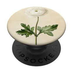 Ranunculus Floral Vintage Ilustración Científica Flor PopSockets PopGrip Adhesivo