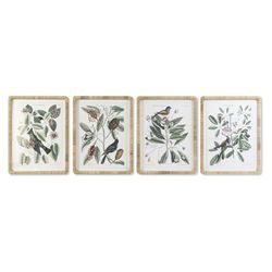 CUADRO CRISTAL MDF 50 x 2,5 x 65 Botanico 4 Surt.