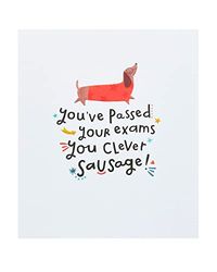 UK Greetings Passing examens kaart voor hem/haar/vriend met envelop - worst hond ontwerp
