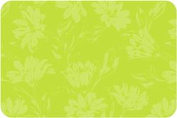 d-c-fix set de table Rio Stella citron vert - lavable - plastique PVC vinyle dessous assiette - 29 cm x 44 cm rectangulaire