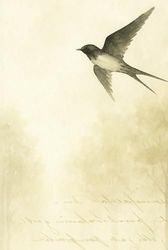 The Diaries of the Swallow: The Diary of the Swallow – Volume 1: Seeds of Light